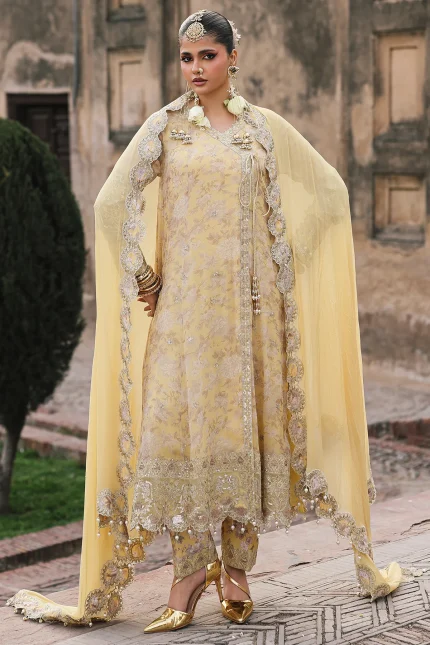 Vasal Luxury Chiffon Vol II By Charizma | VSL6- 13
