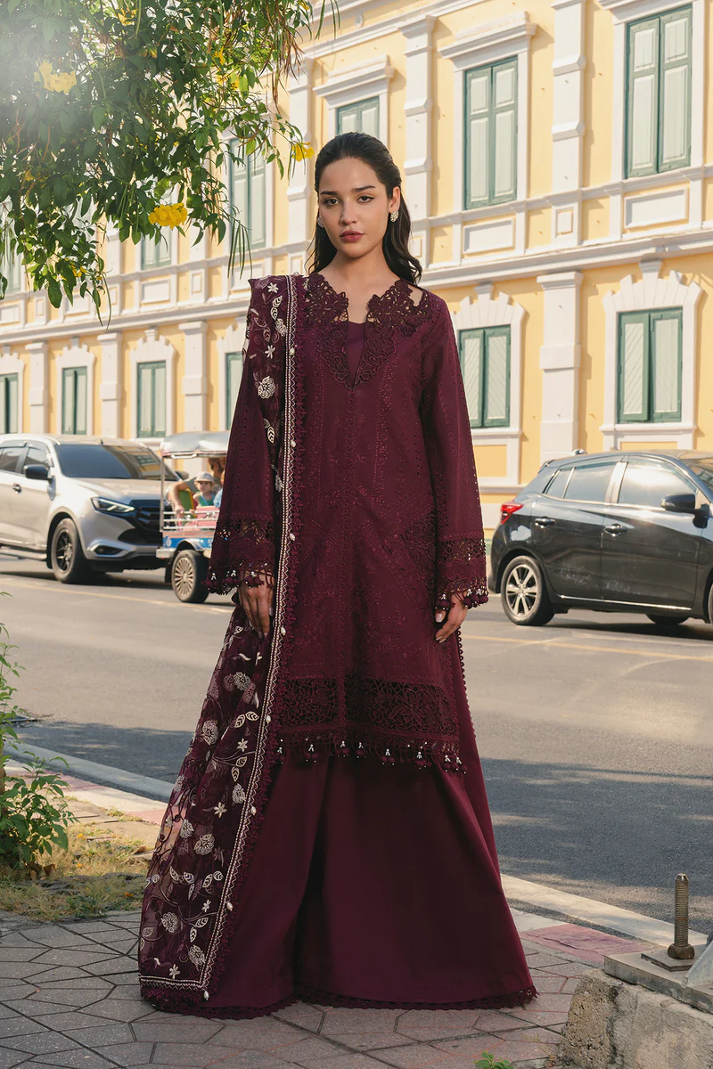 AFM-Haya